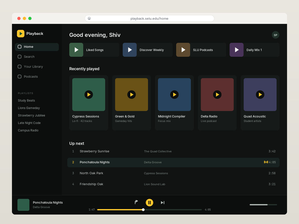 Playback music player interface
